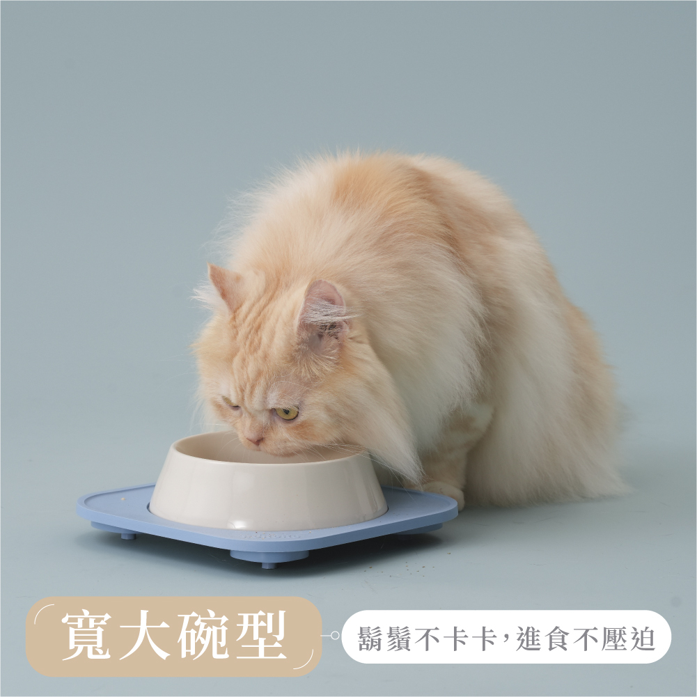 Hururu 防蟻陶瓷寵物碗｜台灣製造x好清洗