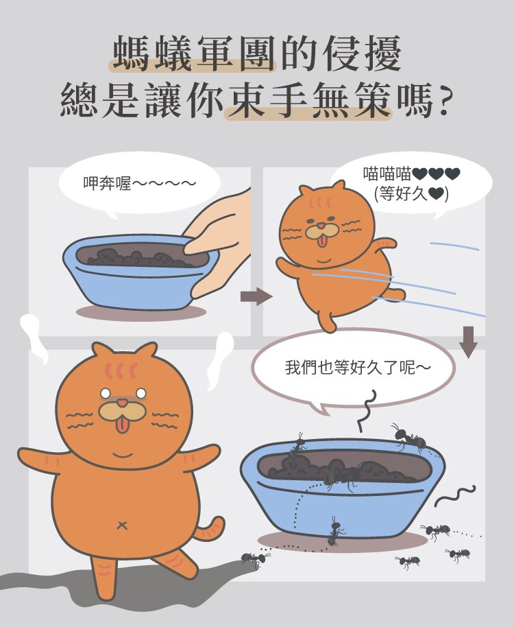 防蟻軍團的侵擾總是讓你束手無策嗎