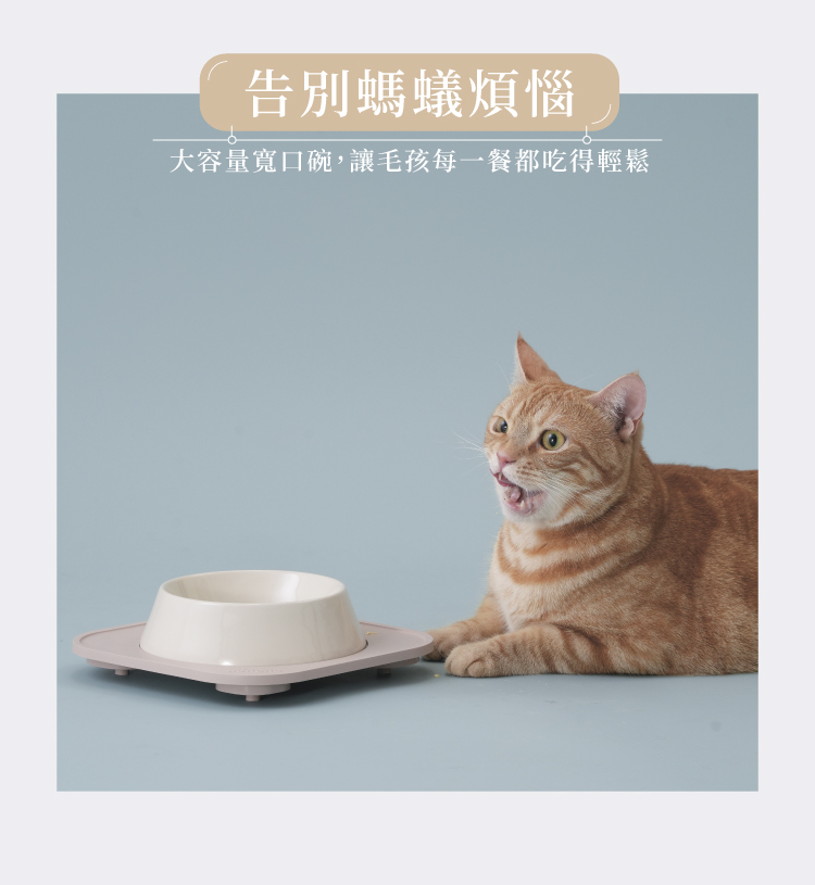Hururu 防蟻陶瓷寵物碗告別螞蟻煩惱,大容量寬口碗,讓毛孩每一餐都吃的輕鬆