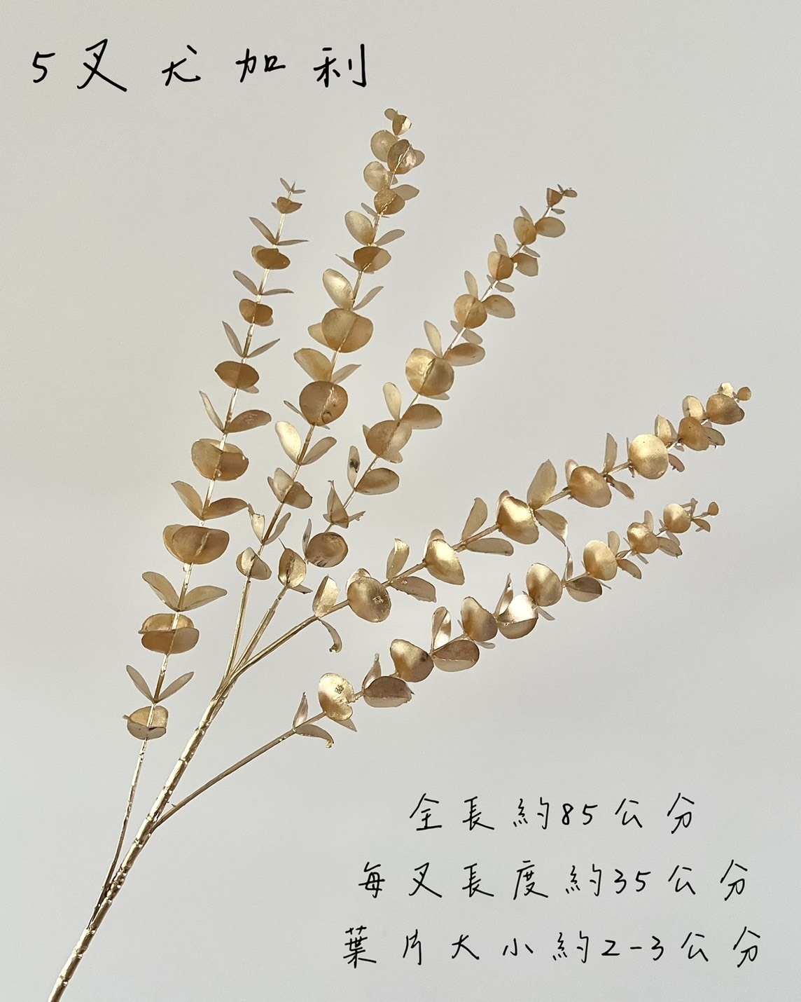 仿真金色素材系列