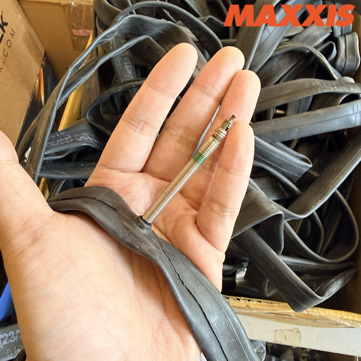 MAXXIS Road Bike Tire (Bulk) 700x23–32C