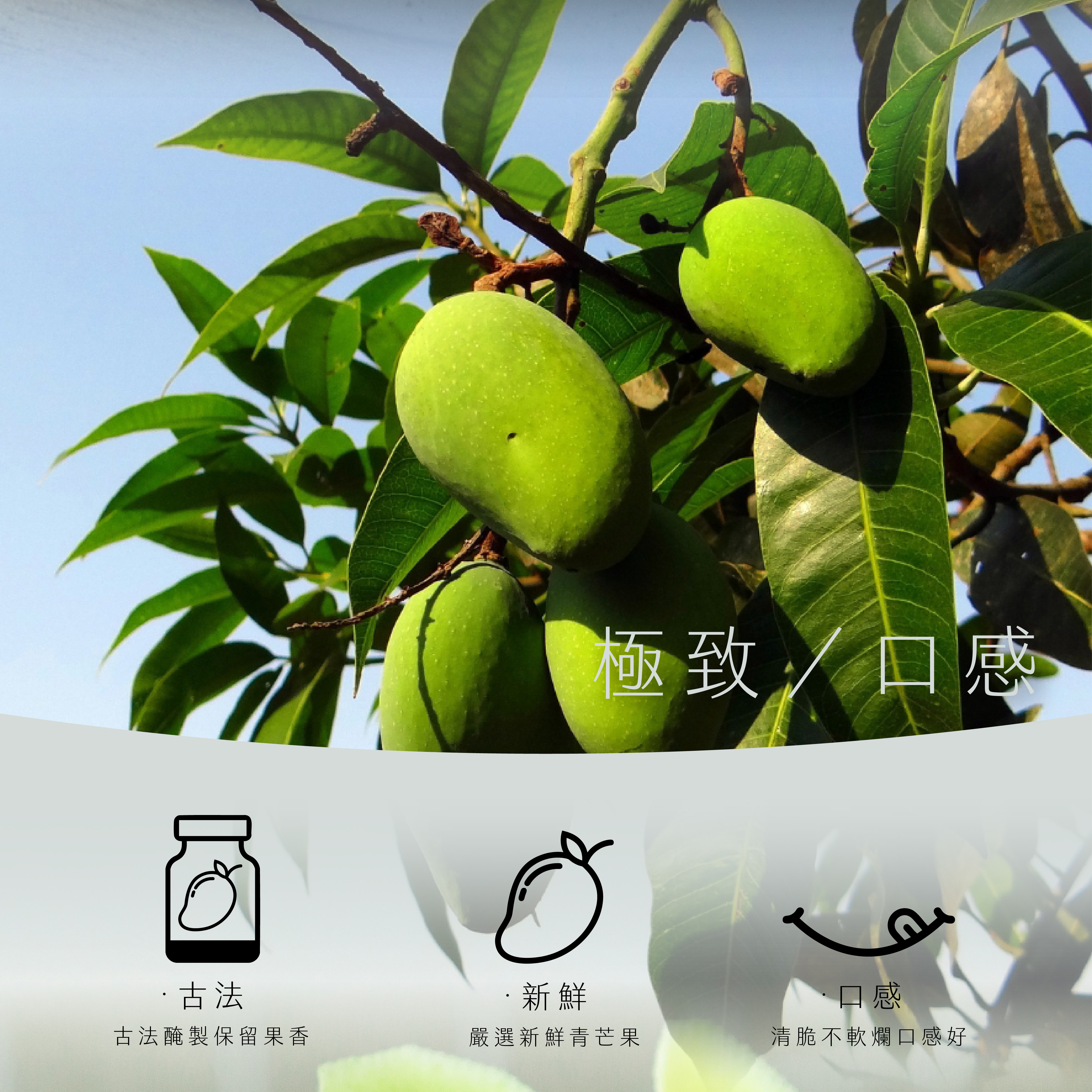 【果然如此】芒果青400g/包