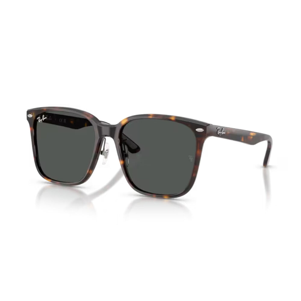 【RayBan】RB2206D 71087-57mm 大方框太陽眼鏡♣(琥珀 深灰鏡片)