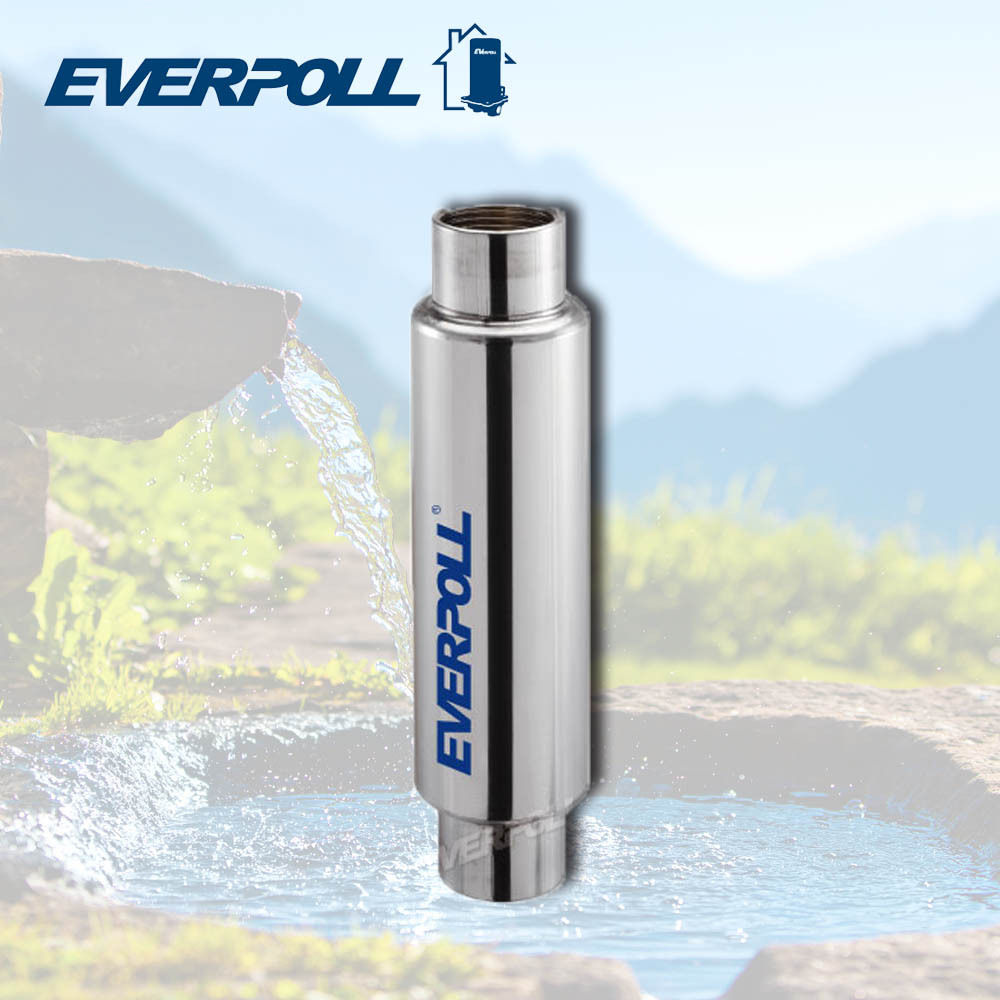 EVERPOLL 微分子活水器 RW-01【送免費標準安裝】