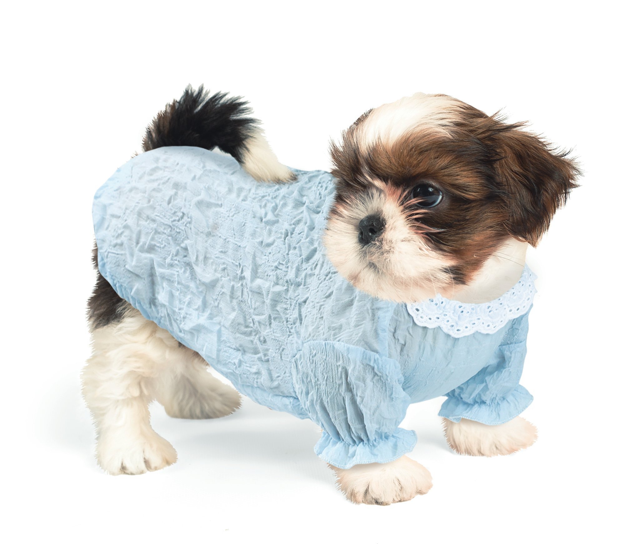 犬用衣服/蕾絲 彩色 L