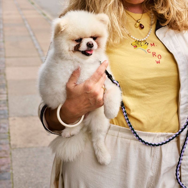 HAY Dogs Leash Braided M/L - 寵物編織牽繩 (可調長度款)