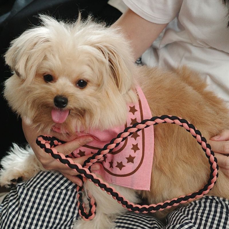 HAY Dogs Leash Braided M/L - 寵物編織牽繩 (可調長度款)