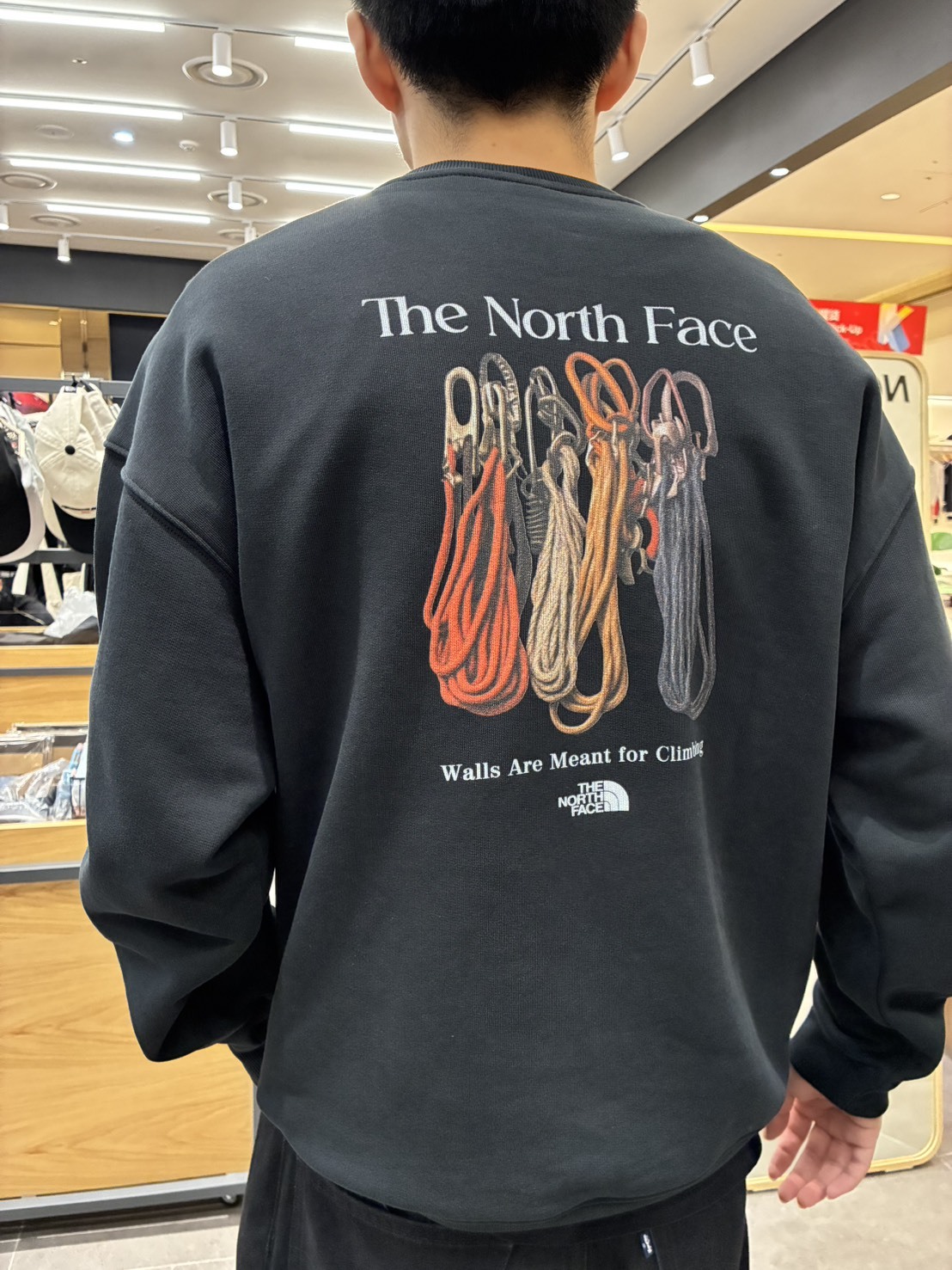 【預購】THE NORTH FACE 韓國限定掛鉤大學T 2色 NM5MR55C