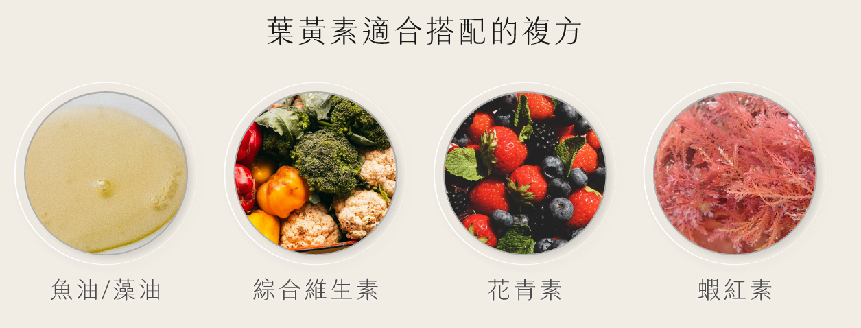 葉黃素搭配那些複方更加分?　蝦紅素,花青素,藻油,魚油