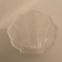 [S] GEMZ & CO YYS SELENITE SEASHELL TRAY DISPLAY, V259 (V259)