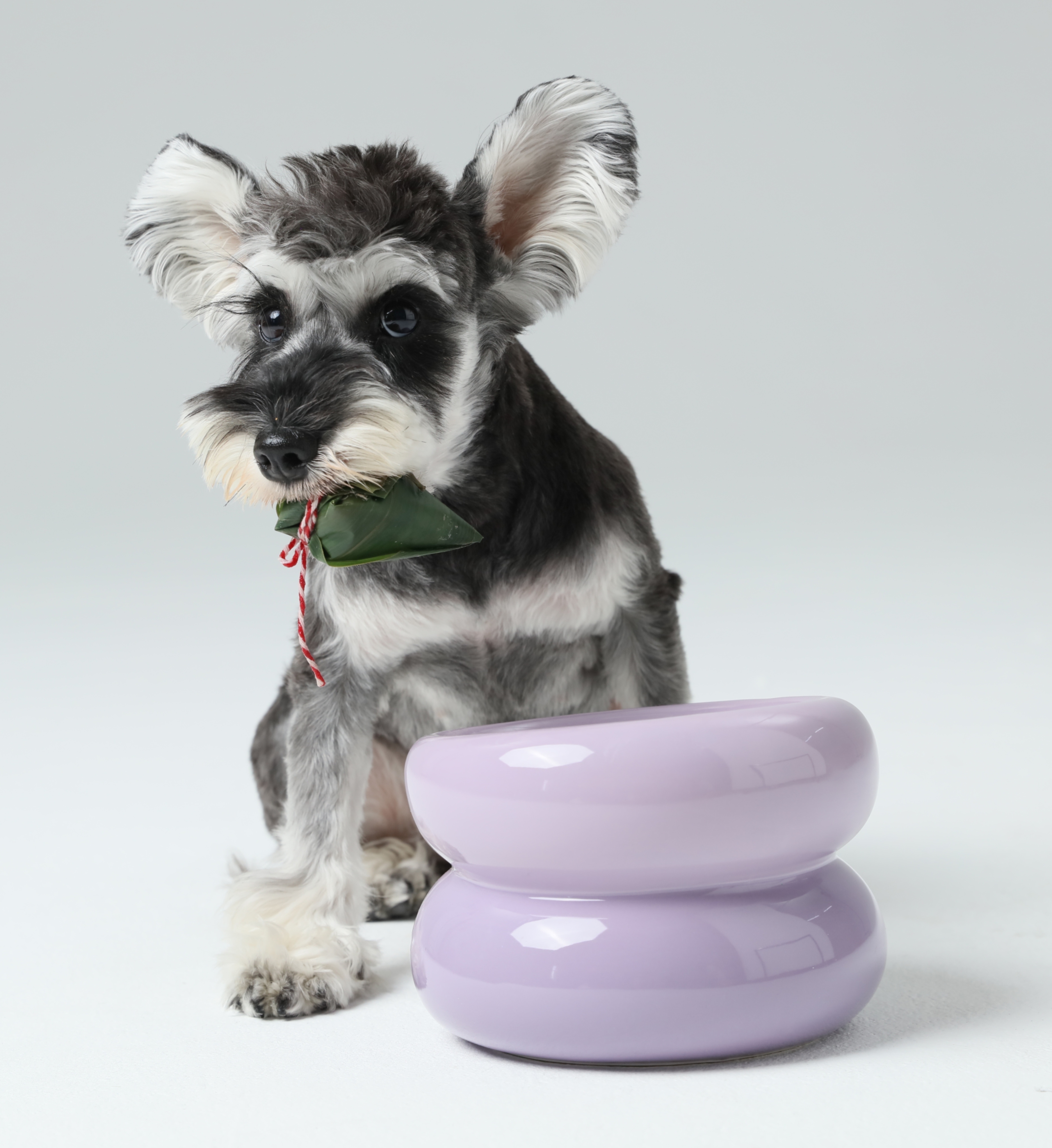 PEHOM 舒芙蕾貓狗碗 （香芋紫）