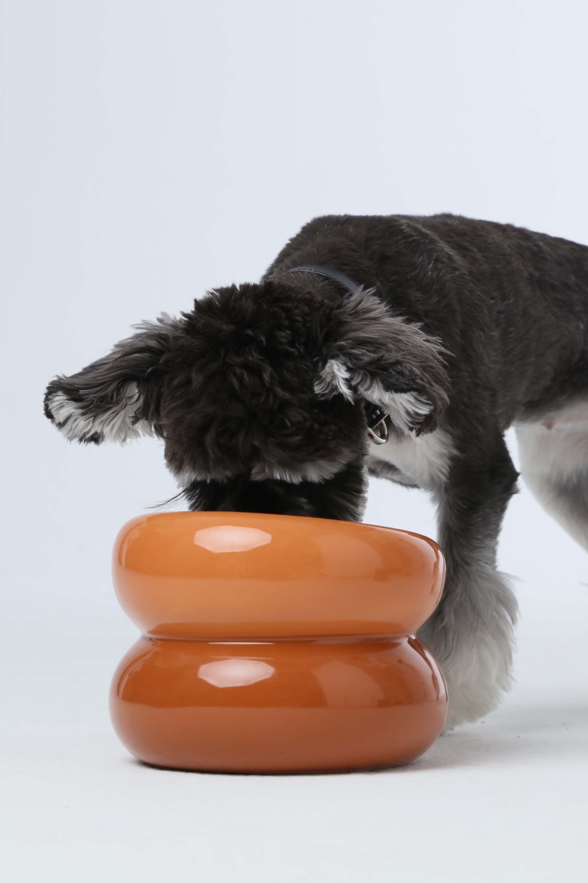 PEHOM 舒芙蕾貓狗碗 （琥珀橘）