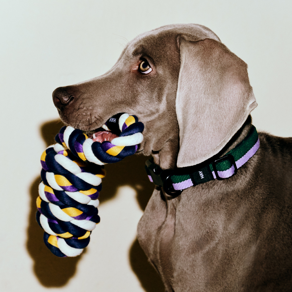 HAY Dogs Rope Toy / 寵物繩結玩具