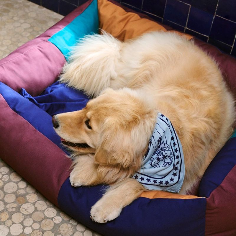 HAY Dogs 寵物睡床(L)