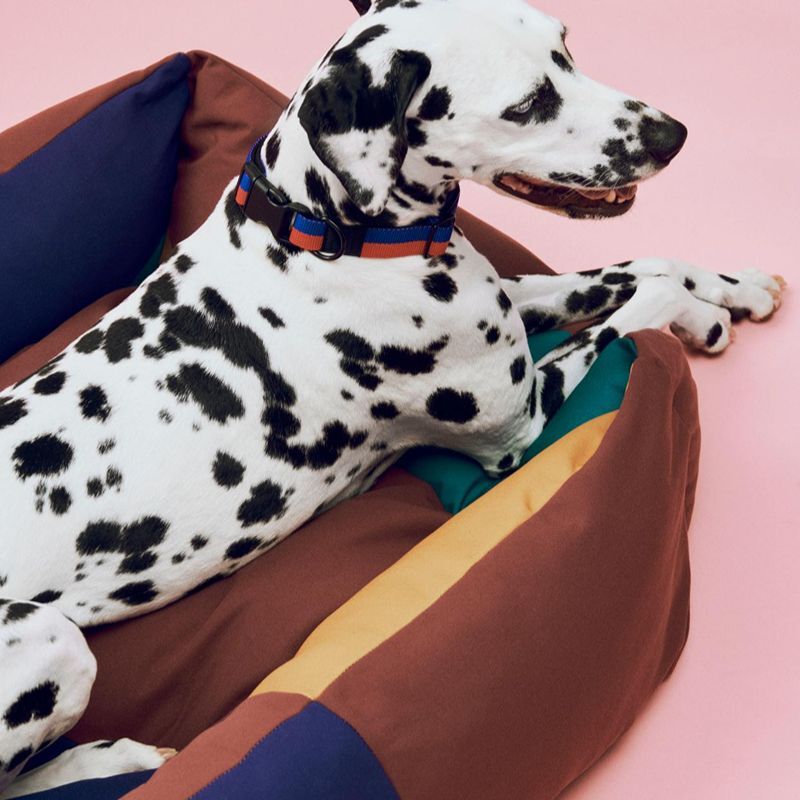 HAY Dogs Bed / 寵物睡床