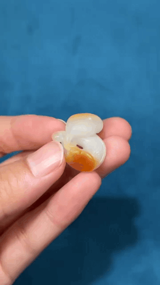 925224 和田玉籽料黃皮腰纏萬貫