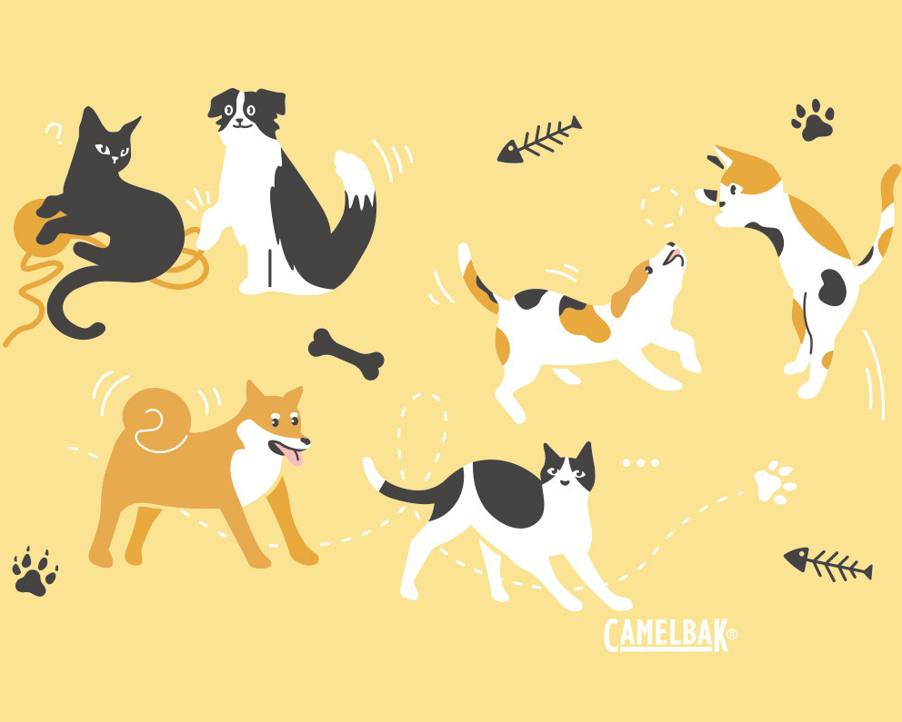 Camelbak Fighting! Chug不鏽鋼彈蓋運動保溫瓶(保冰) 600ml - 汪喵星樂園