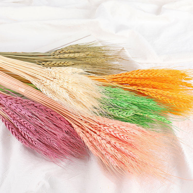 【台灣現貨速發】麥穗 麥穗乾燥花 乾燥花｜一把50支｜乾燥花 乾花