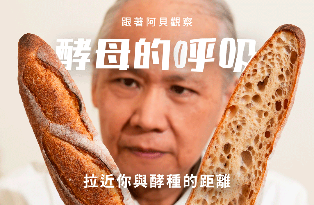 “黃國琳學員回饋：跟著阿貝觀察酵母呼吸！拉近你與酵母之間的距離”