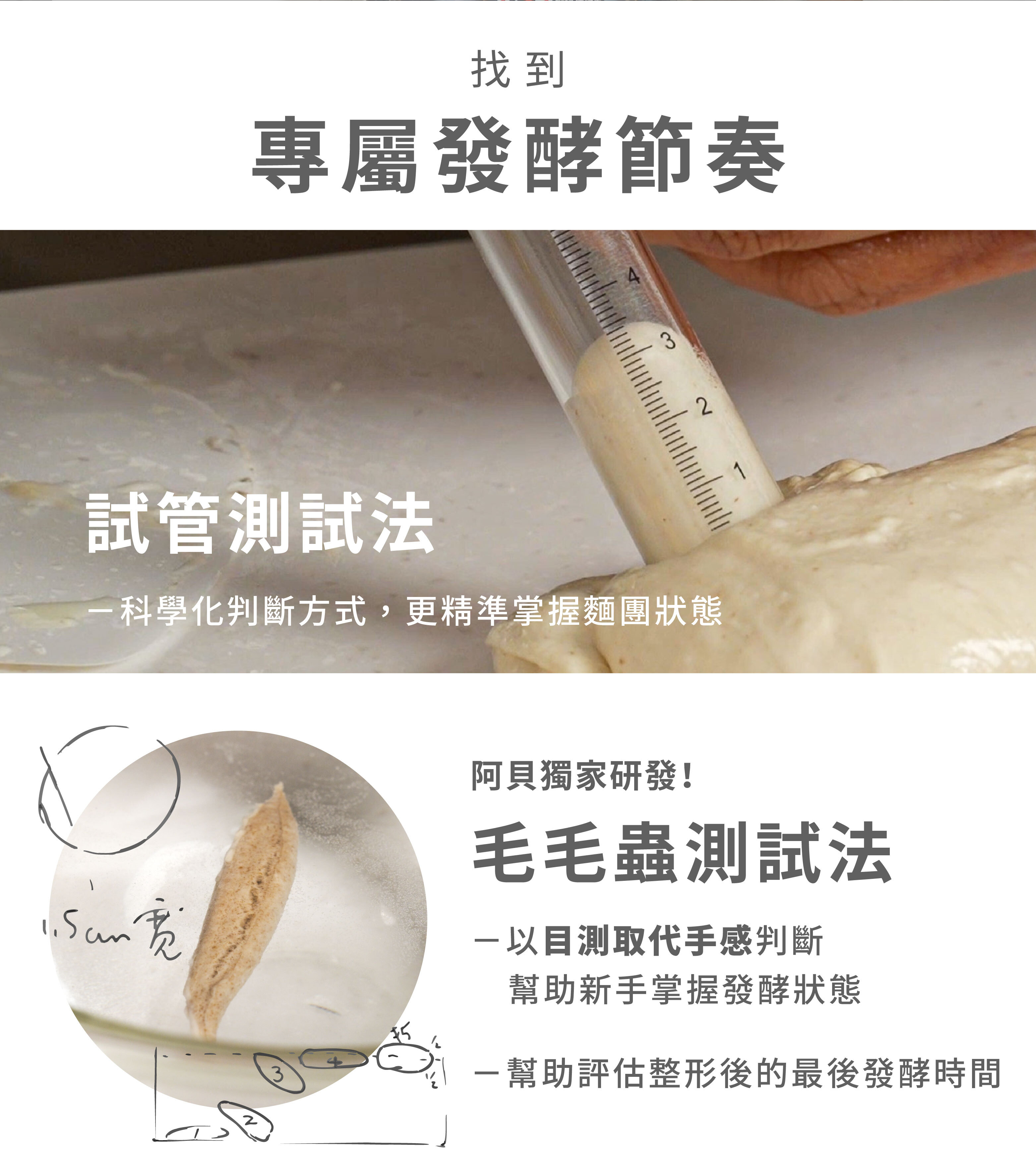 “三、找到專屬發酵節奏”