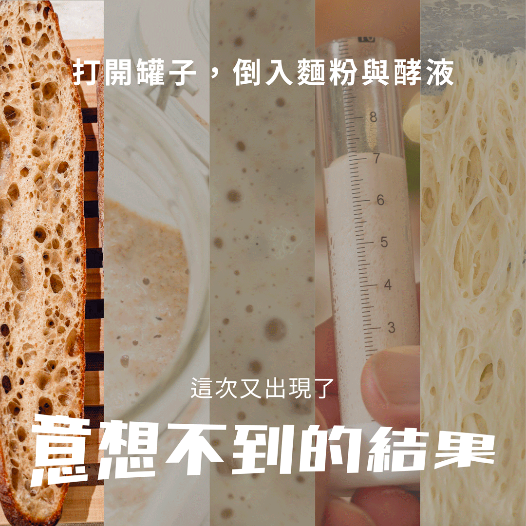 “打開罐子，倒入麵粉和酵液，竟然產生意想不到的結果”