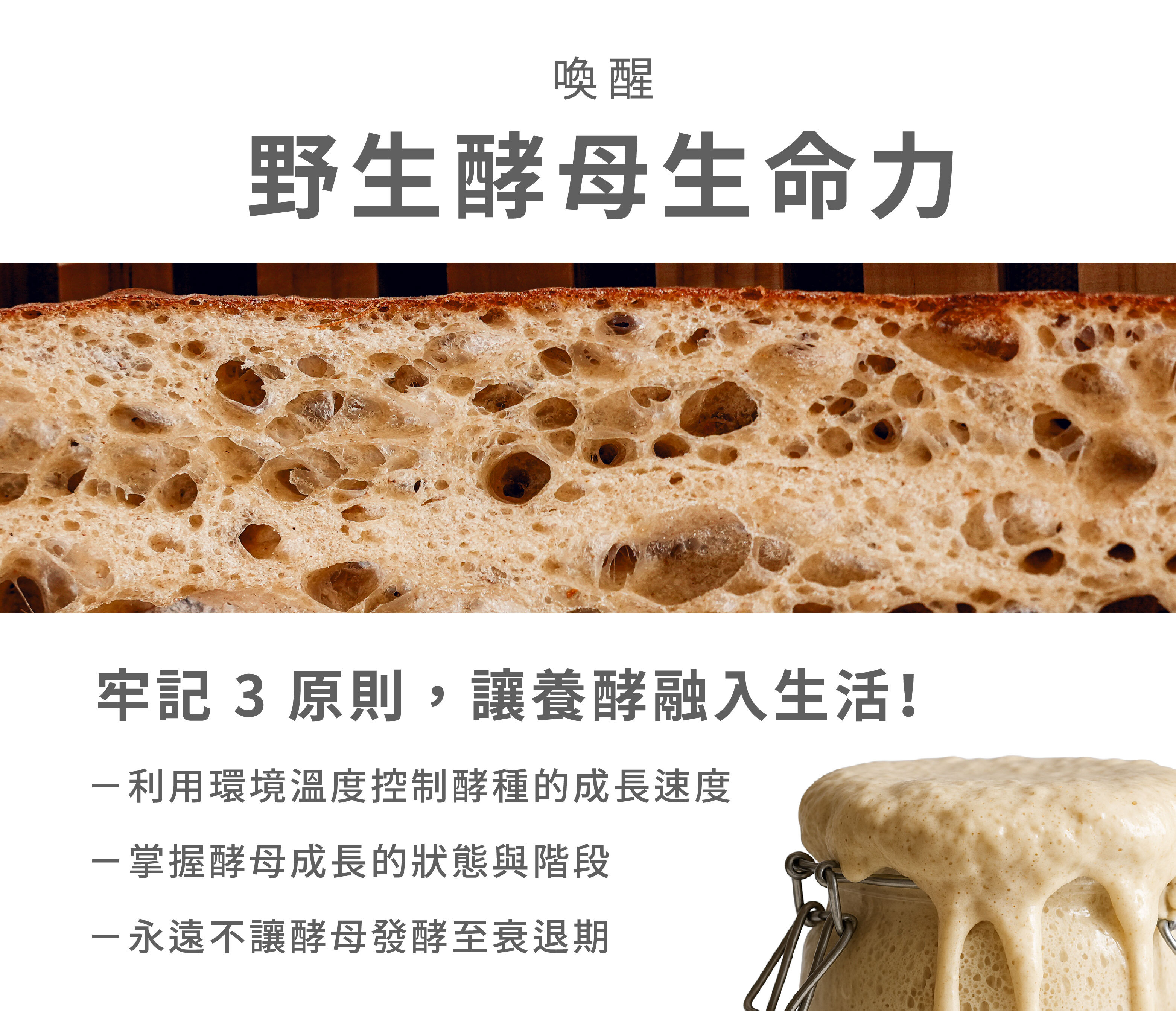 “一、喚醒野生酵母的生命力”