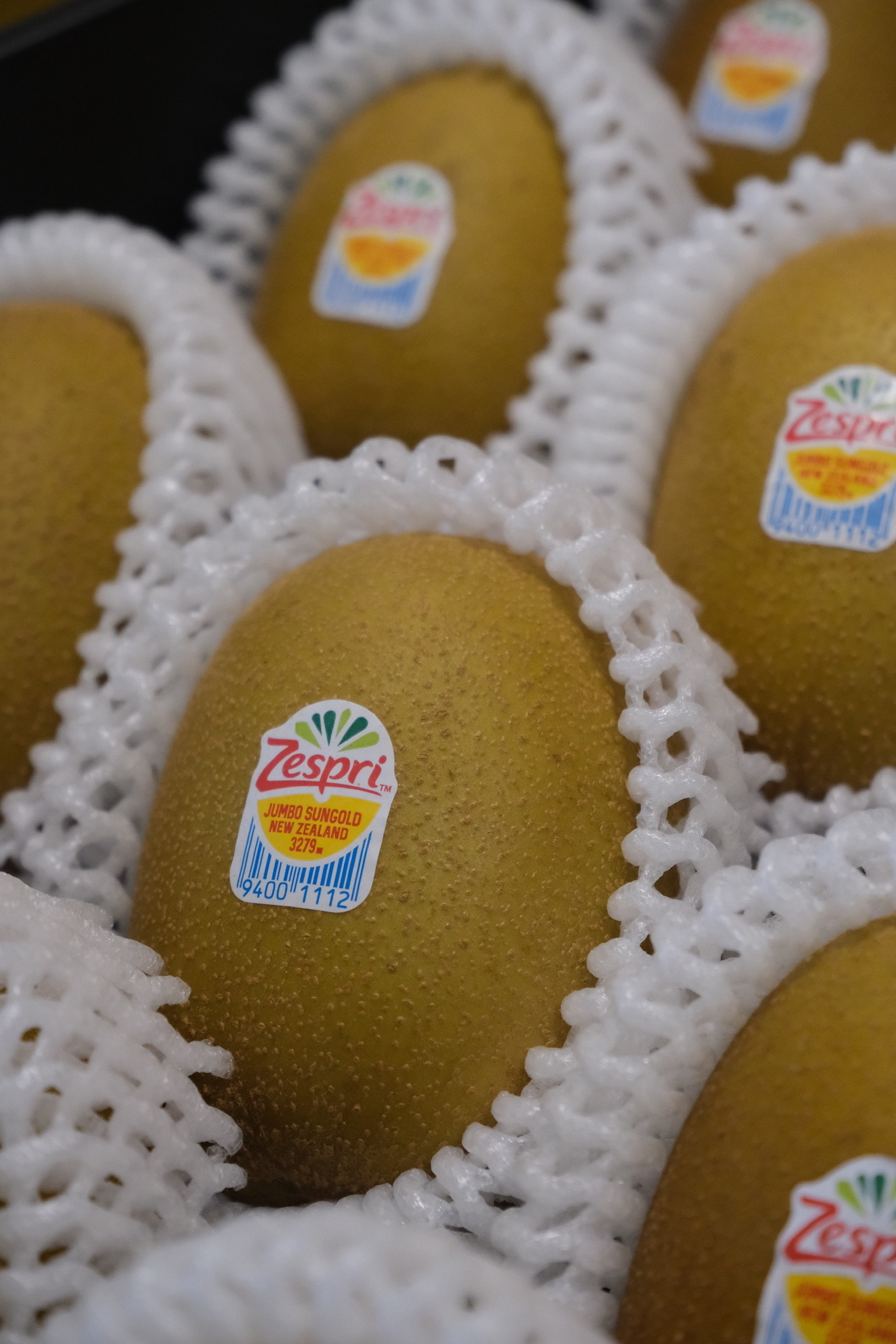 奇果｜夏日金實