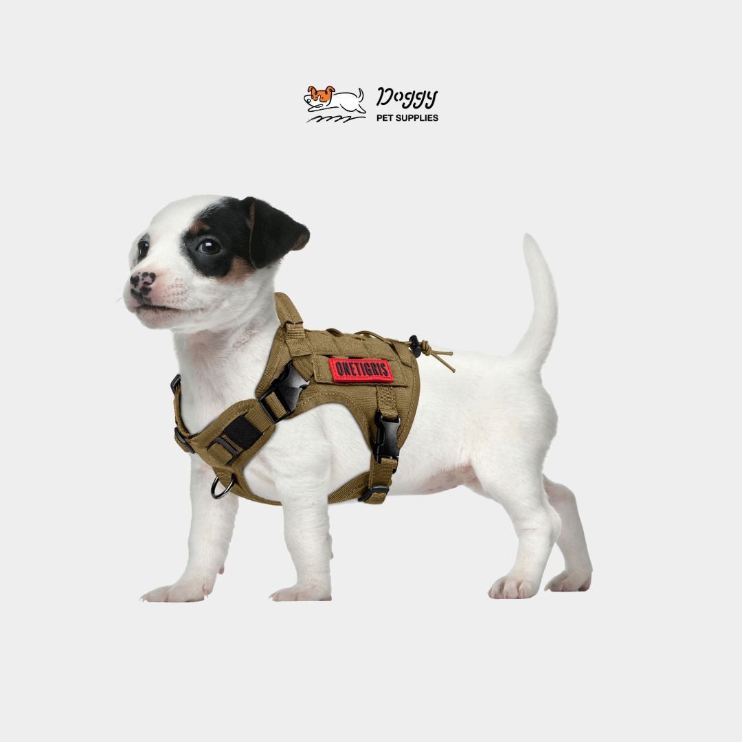 【OneTigris】GBX03戰術機能衝鋒衣