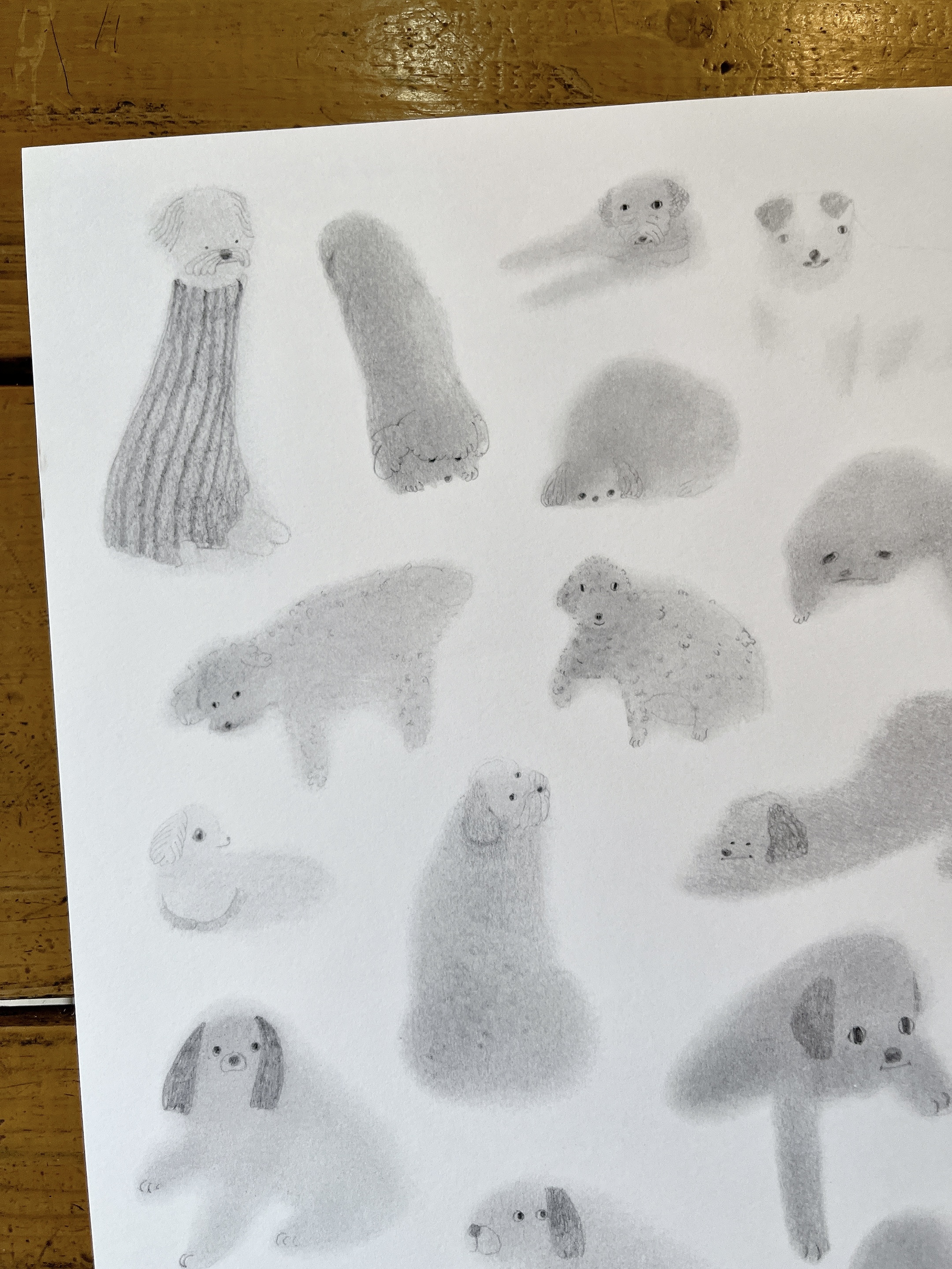 (只能郵寄) 糊糊的狗 A3海報 單張販售｜Hank在畫圖的路上 台灣