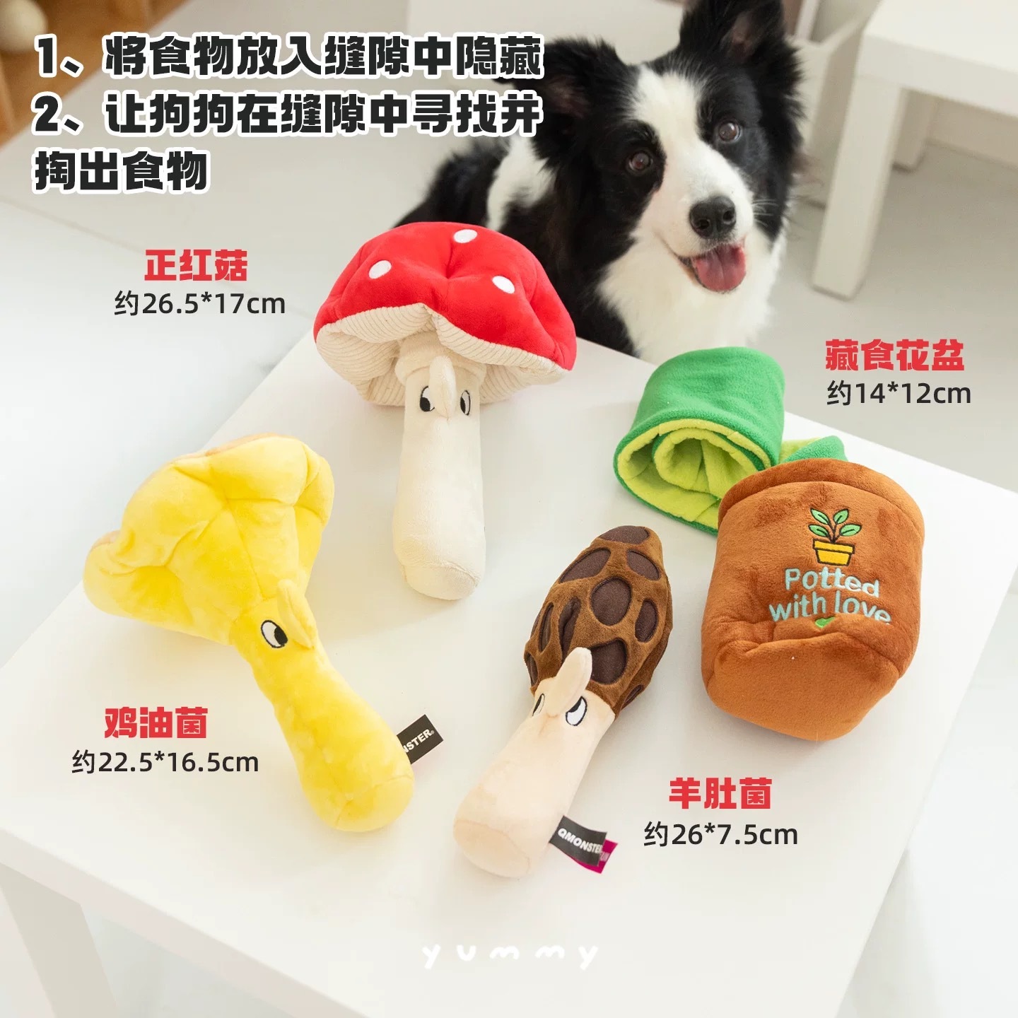 QMONSTER 蔬菜蘑菇系列 藏食玩具