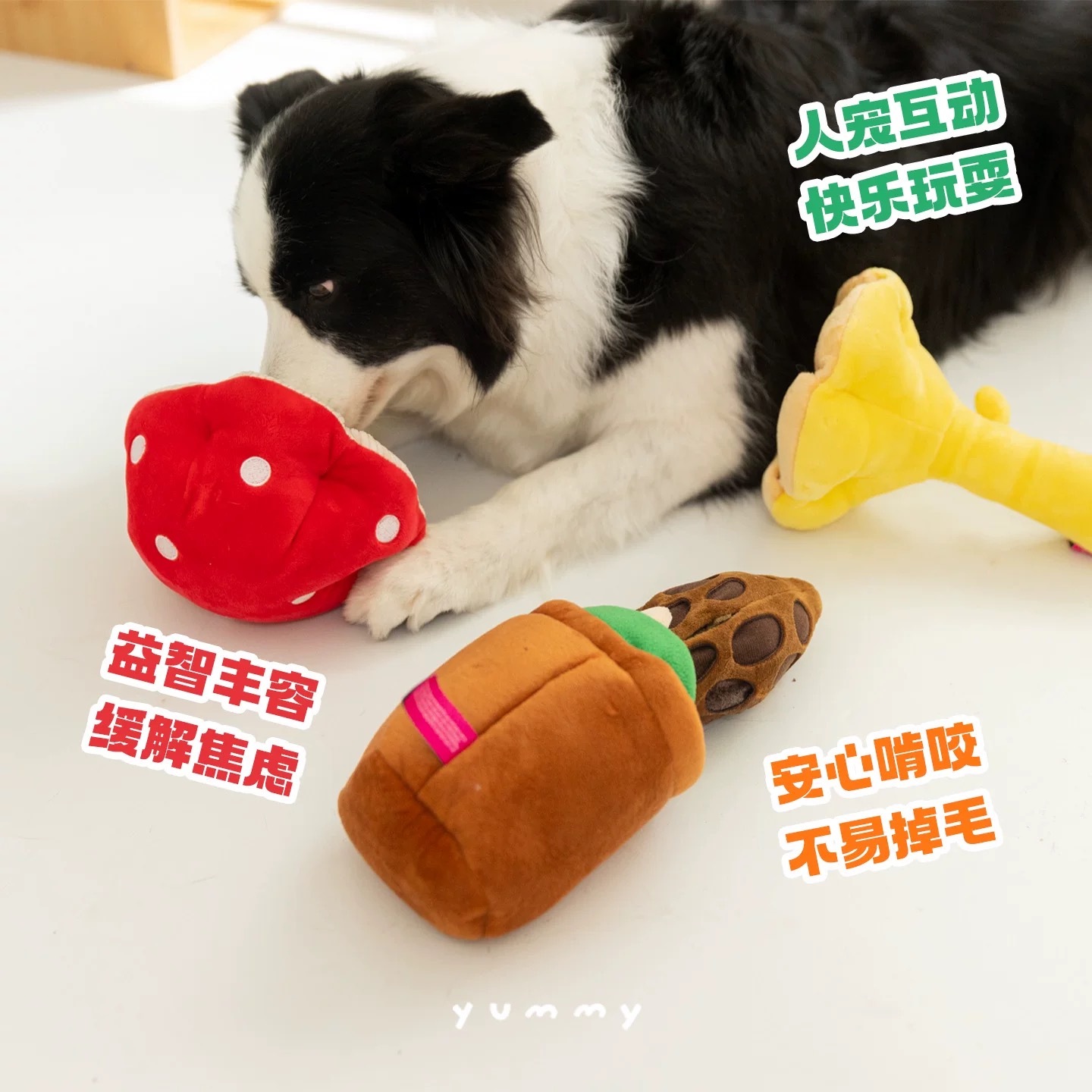 QMONSTER 蔬菜蘑菇系列 藏食玩具