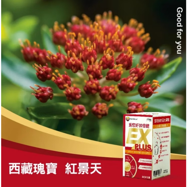 【樂森藥局】🔴優惠出清🔴 為您好 加倍健錠EX PLUS 120顆