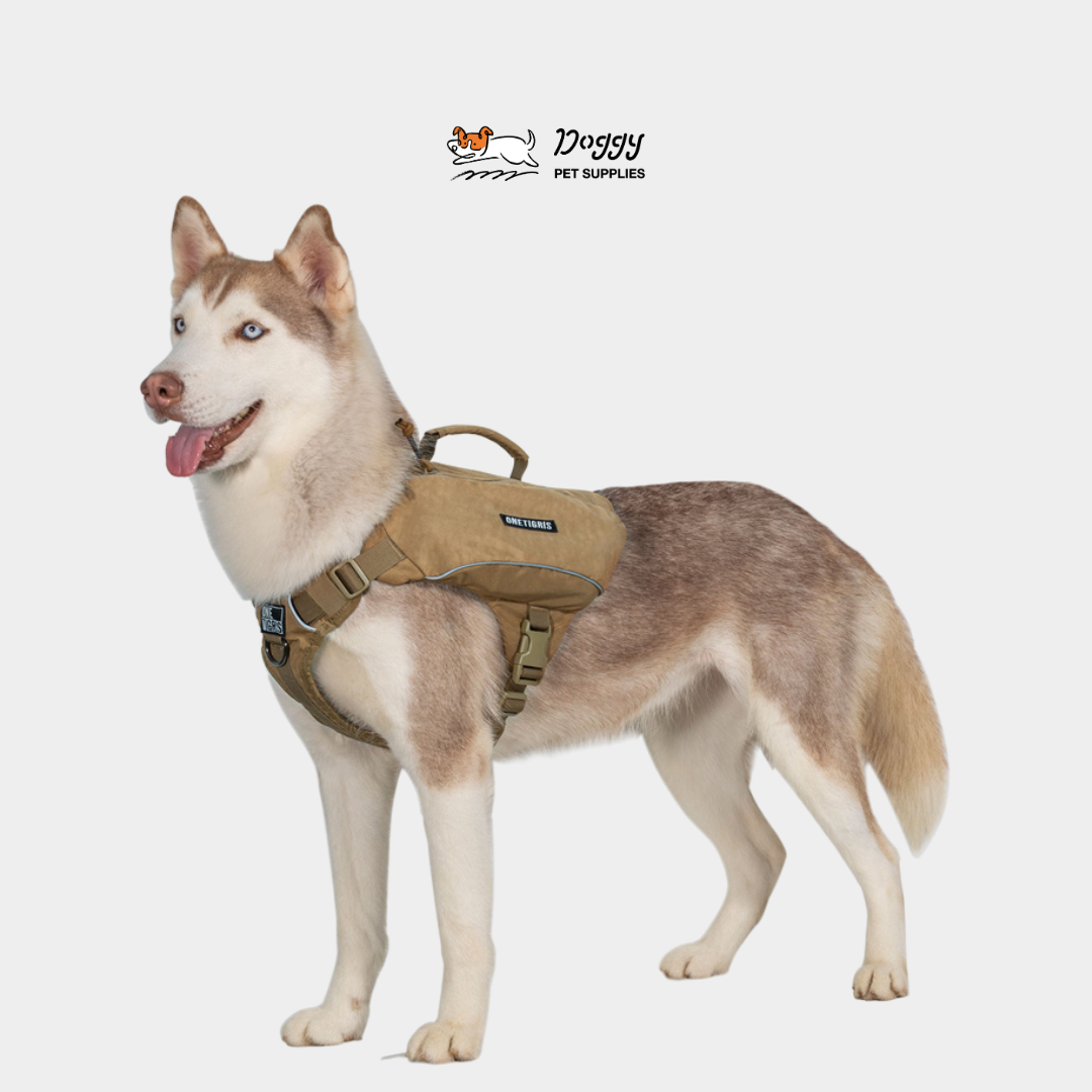 【 OneTigris 】ZGB04解放雙手背包型胸背帶