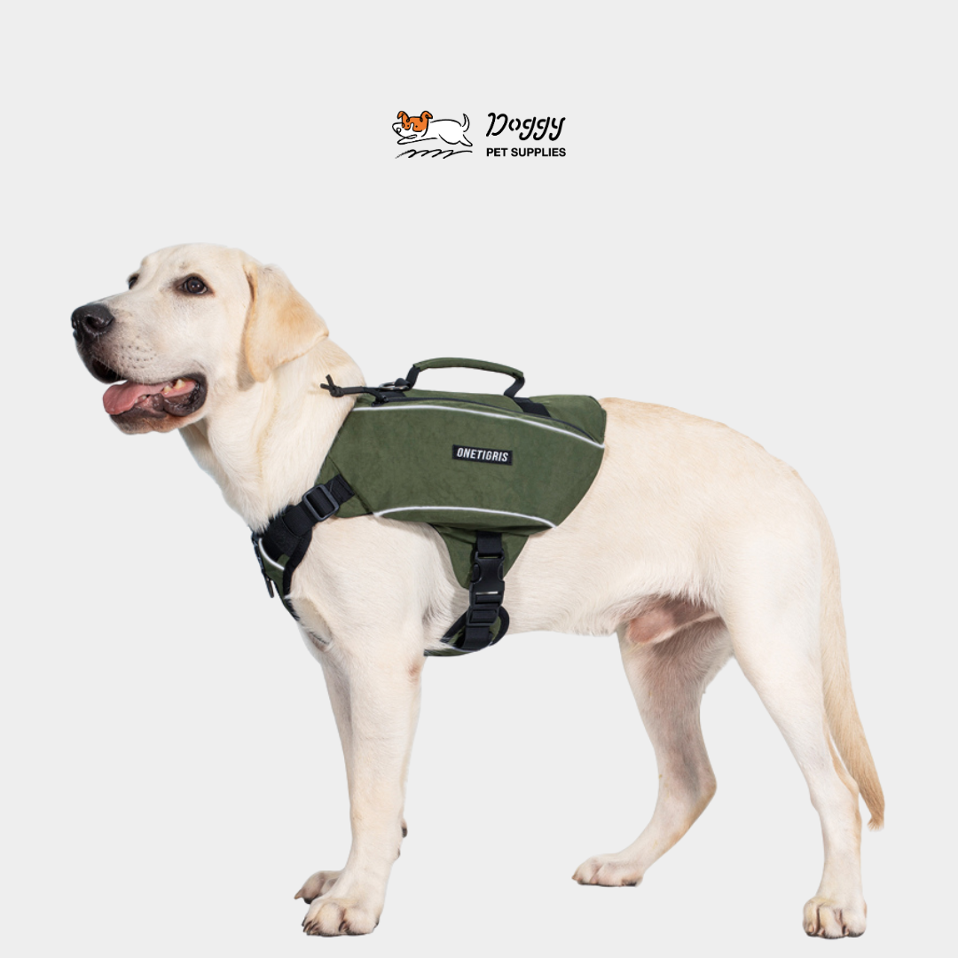 【 OneTigris 】ZGB04解放雙手背包型胸背帶