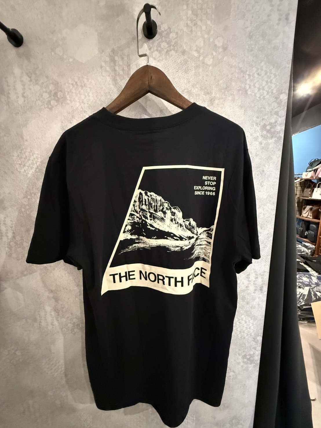 The North Face 北臉 背後山景圖 短袖上衣 短T