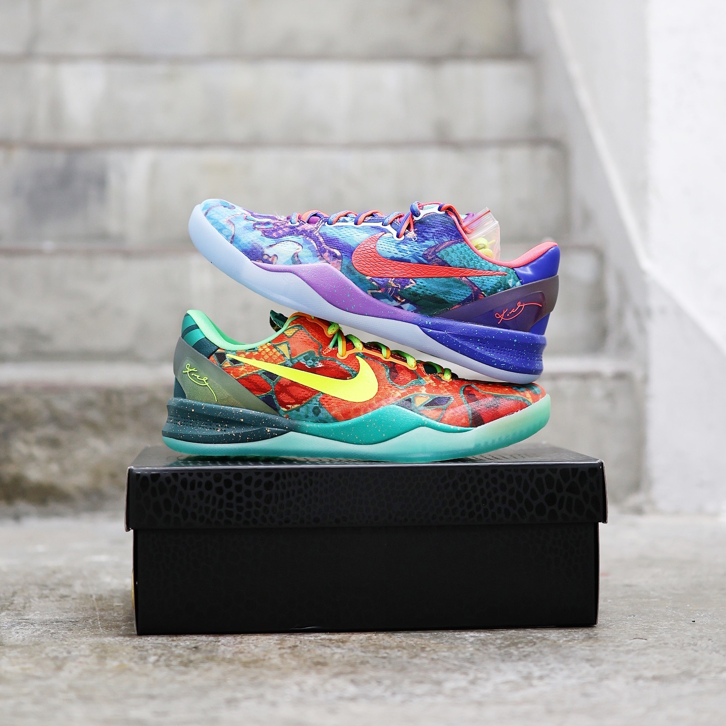 Nike Kobe 8 Protro ”What The Kobe” 鴛鴦 hm9621-900  fn0266-800