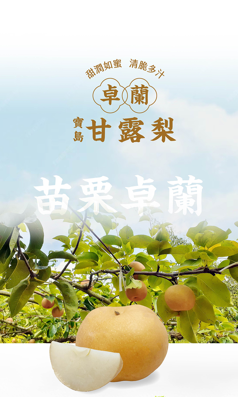 百香果,都香三號,都香3號,十九,甜,禮盒,水果,金都,3號,金都3號,金都三號,老欉,文旦,麻豆,60年,50年,40年,30年,20年,台南,產地,直送,現採,中秋,團圓,月餅,果肉,多汁,柚子,文旦柚,梨山甘露梨,梨山,甘露梨,梨,卓蘭甘露梨