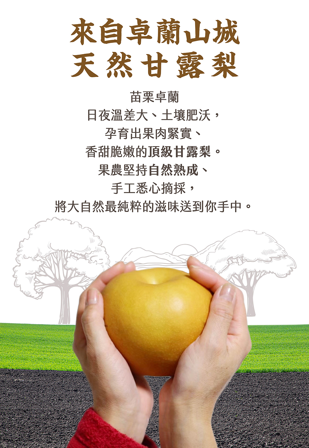 百香果,都香三號,都香3號,十九,甜,禮盒,水果,金都,3號,金都3號,金都三號,老欉,文旦,麻豆,60年,50年,40年,30年,20年,台南,產地,直送,現採,中秋,團圓,月餅,果肉,多汁,柚子,文旦柚,梨山甘露梨,梨山,甘露梨,梨,卓蘭甘露梨