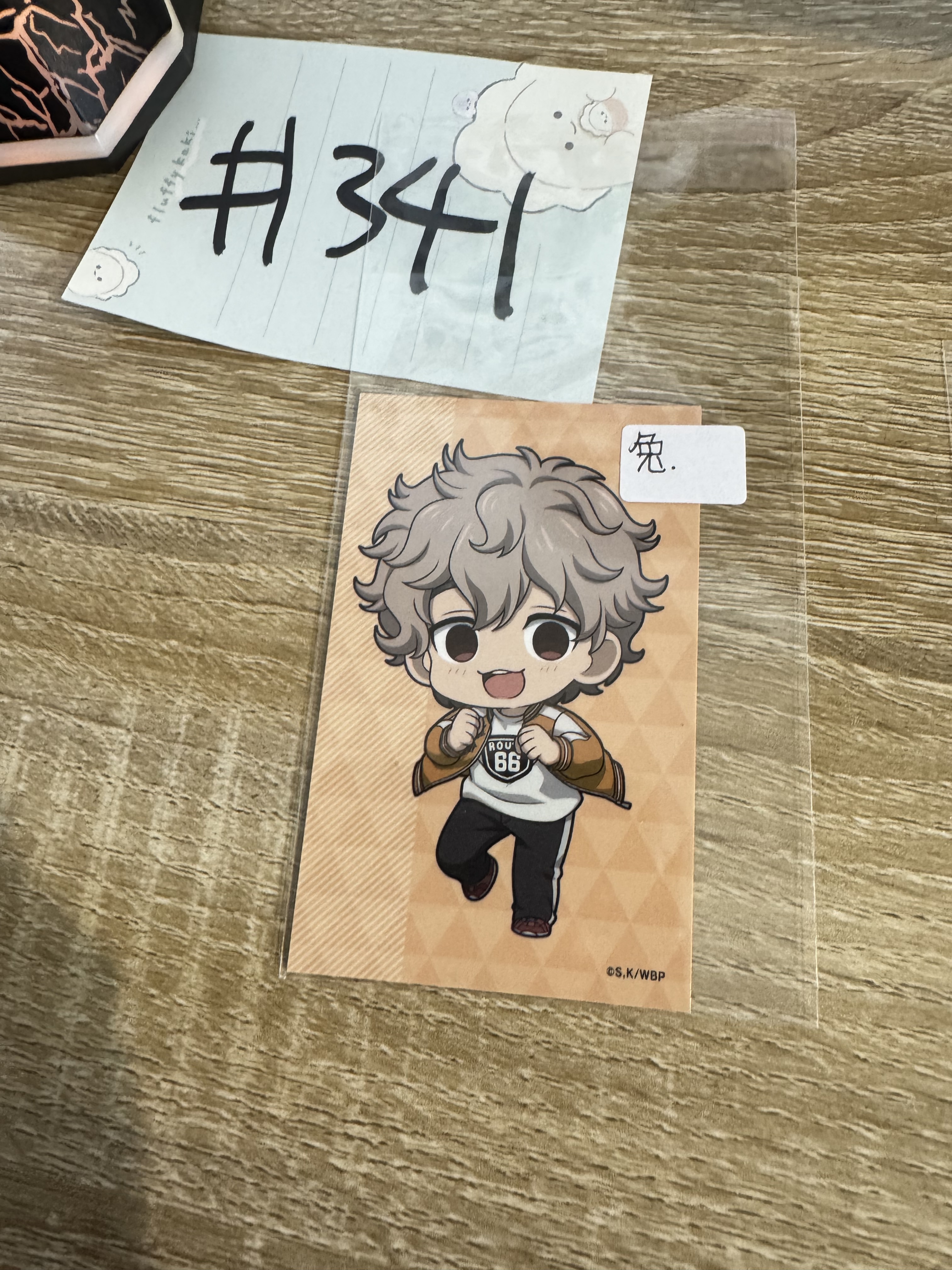 WIND BREAKER 兔耳山 小卡#341