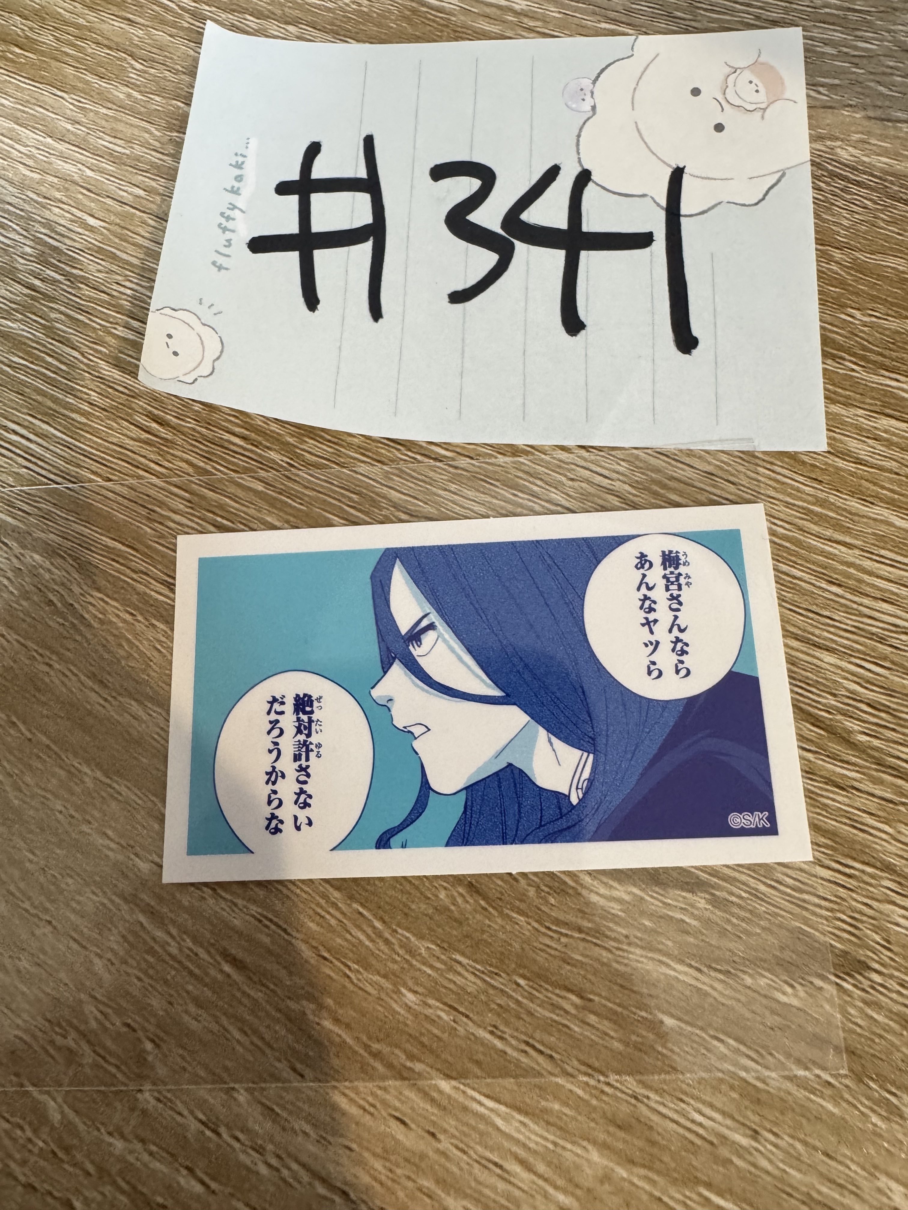 WIND BREAKER 杉下 貼紙#341