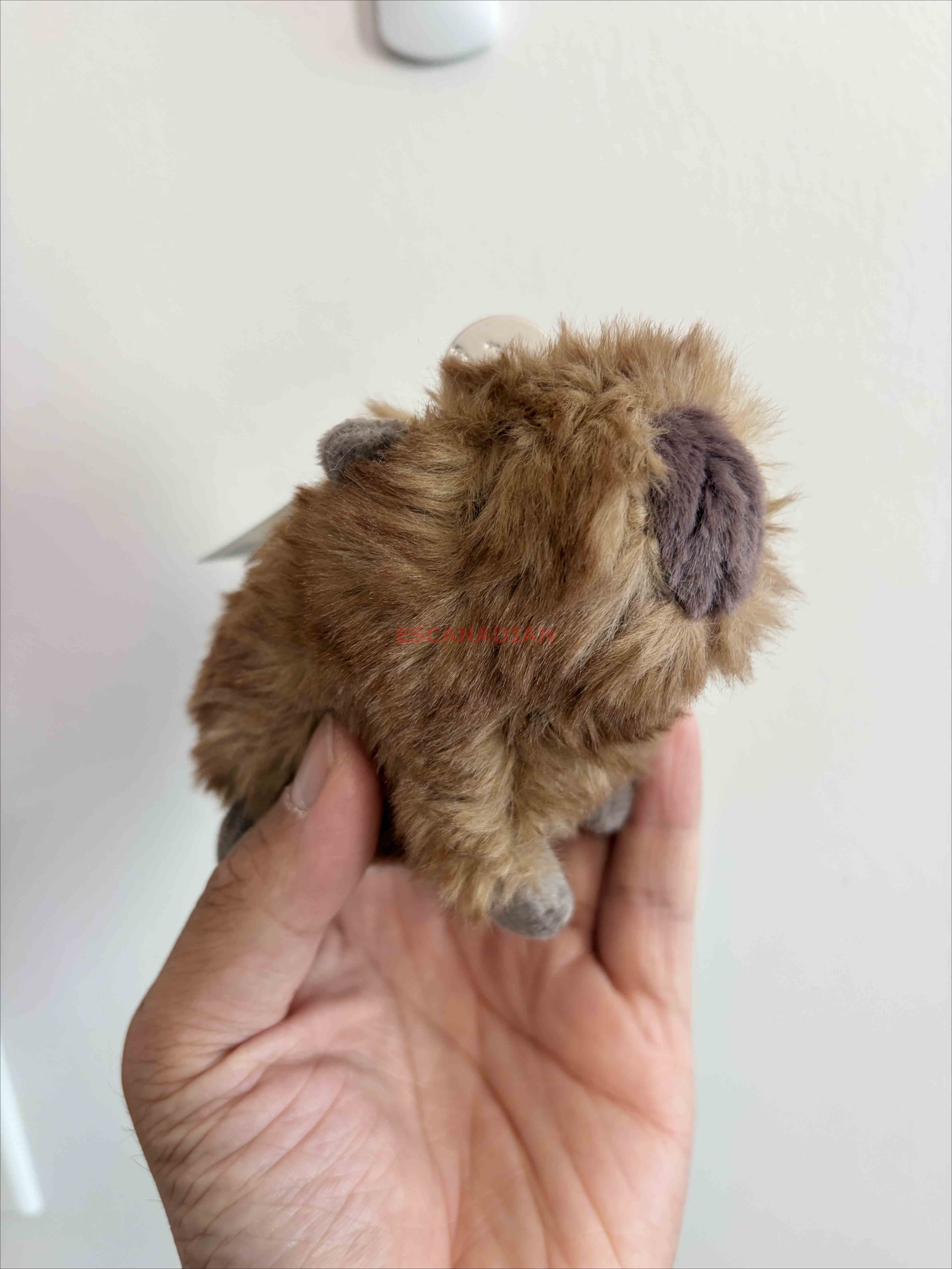 JellyCat 水豚 掛飾 鑰使圈