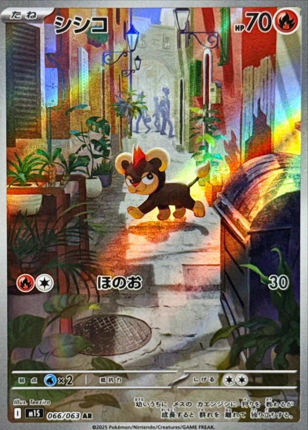 【M1S 066／063 AR】シシコ