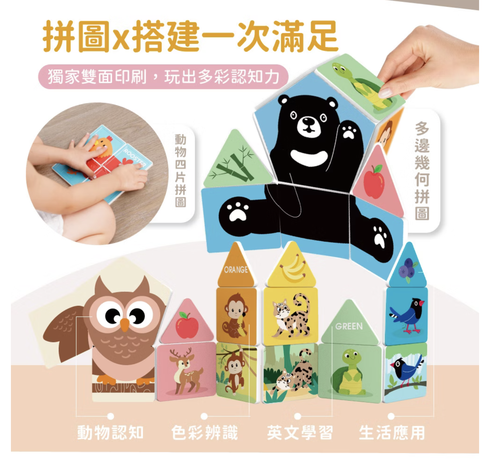 mamayo 星鑽磁力片-台灣動物探險組48pcs，雙面印刷，附VR雲端教學