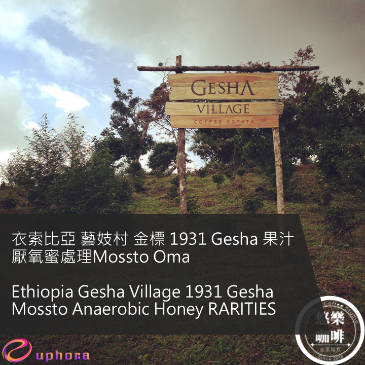 衣索比亞 藝妓村 金標 1931 Gesha 果汁厭氧蜜處理Mossto Oma