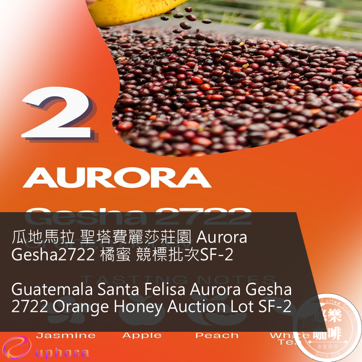 瓜地馬拉 聖塔費麗莎莊園 Aurora Gesha2722 橘蜜 競標批次SF-2