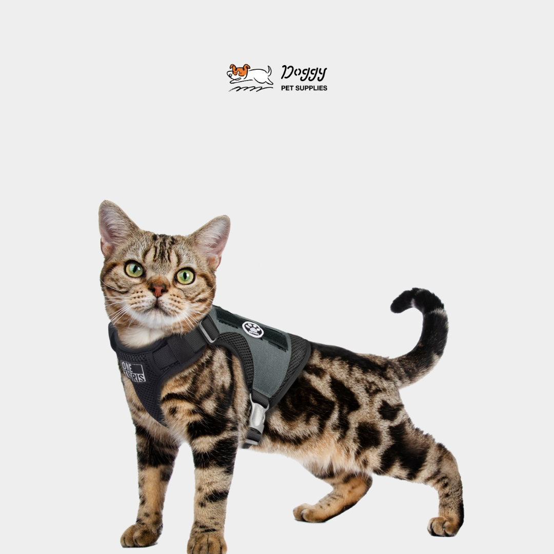 【 OneTigris 】喵星人酷炫背心