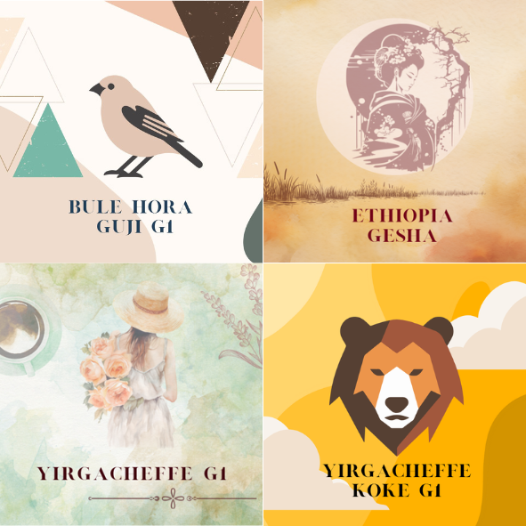 超值精品組合E| SPECIAL SET - E