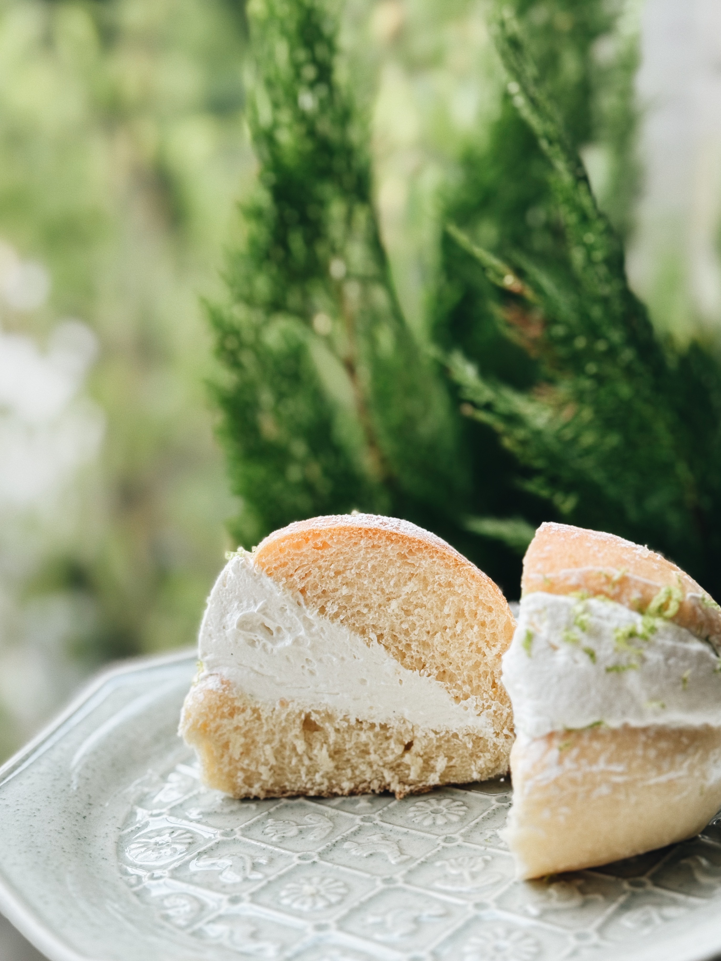 鐵觀音巧克力＆檸檬乳酪全素生乳包 4入