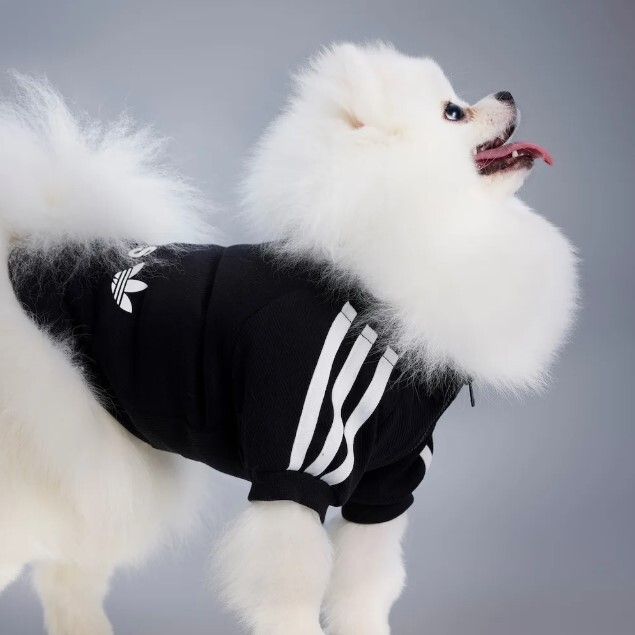 Adidas Originals 寵物針織外套 芭蕾粉 天空藍 經典黑 萊茵綠