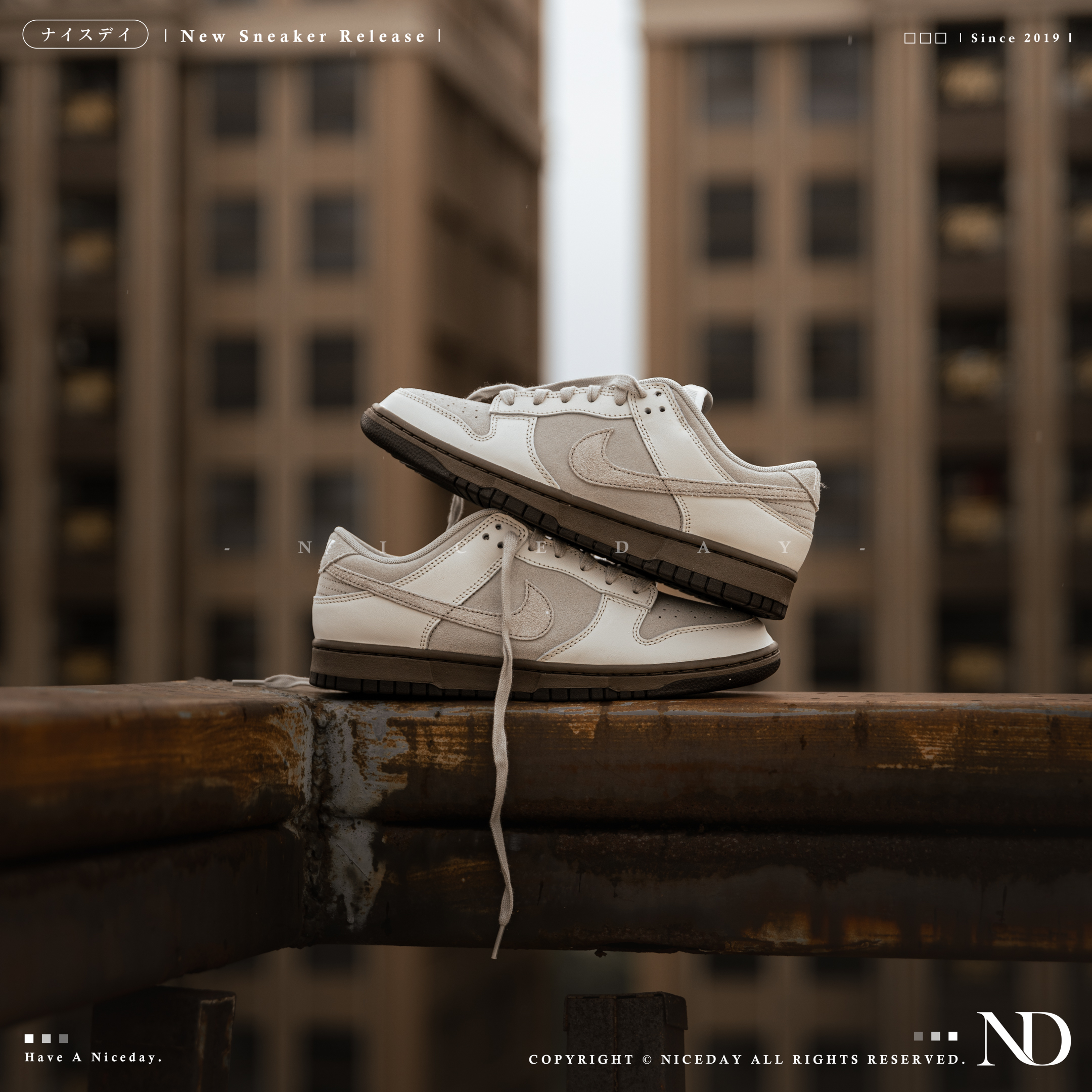 NICEDAY 現貨 Nike Dunk Low Ironstone 礦石 灰 菸灰 煙灰 石英 灰 摩卡 男鞋 FD9746-001